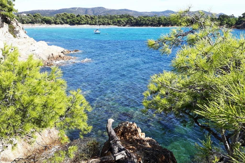 T2 Clim Parking, Entre Nature Et Plage 耶尔 外观 照片
